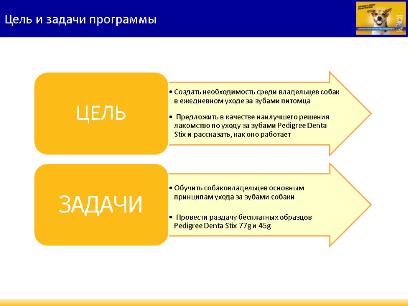 Цель и задачи программы